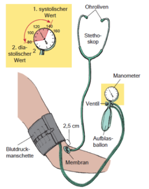 pflegewiki_blutdruck_1.png
